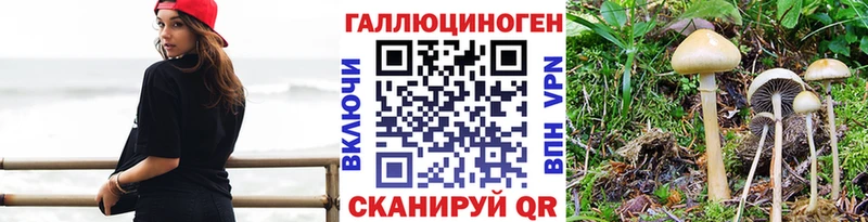 сайты даркнета клад  что такое   Калач-на-Дону  Галлюциногенные грибы GOLDEN TEACHER 